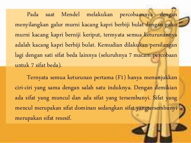 Alasan Mendel Menggunakan Kacang Ercis Dalam Percobaannya Antara Lain